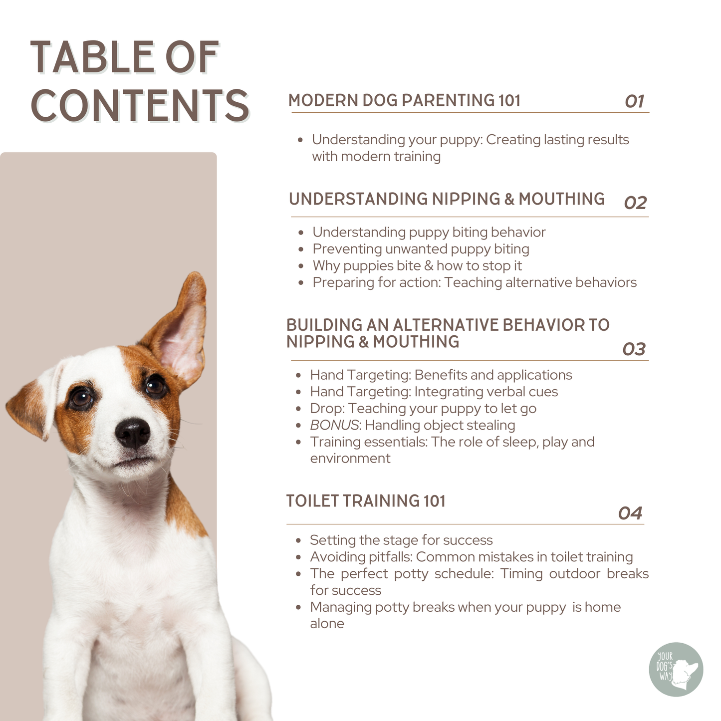 YOUR PUPPY'S BEST START: Force-Free Puppy Training Guide