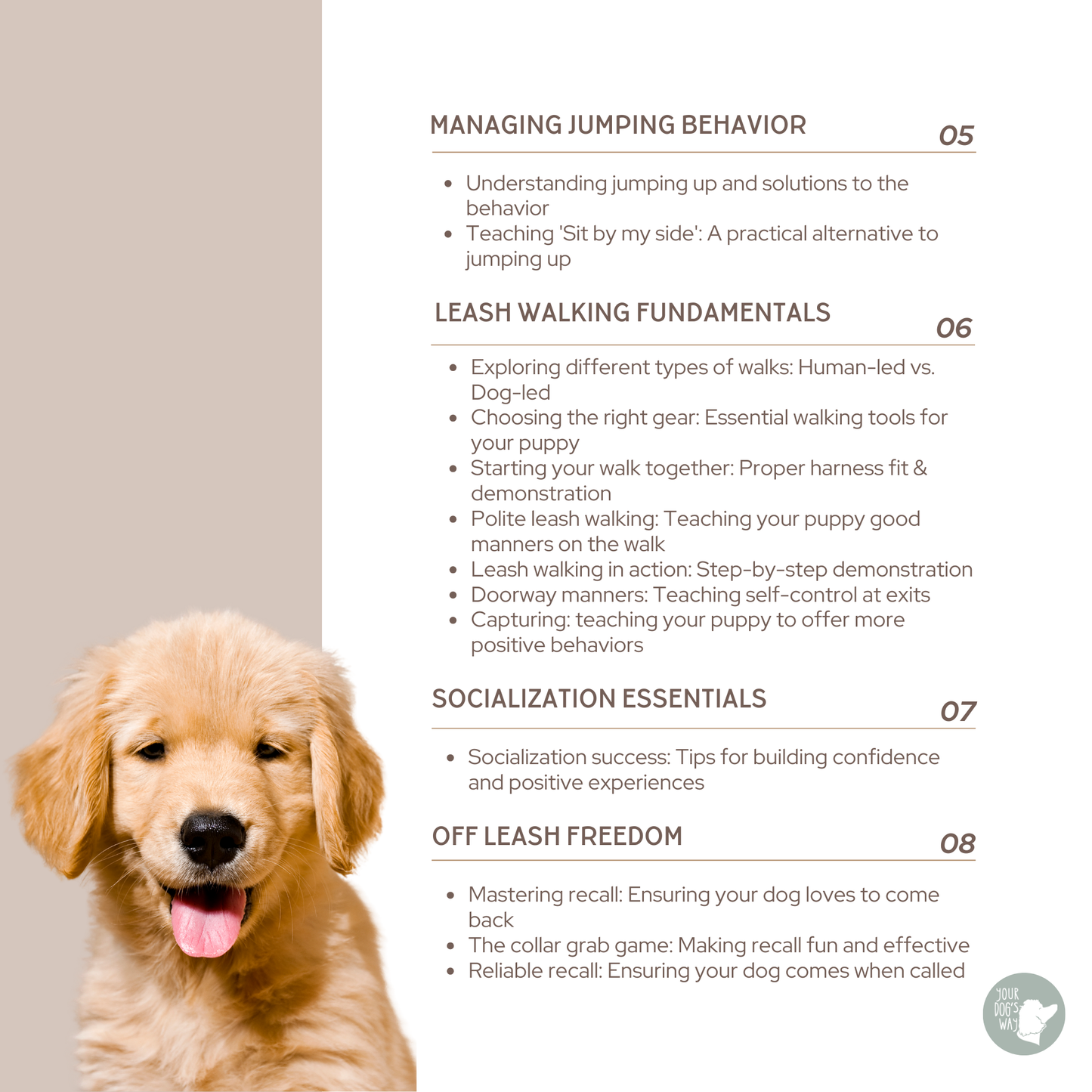 YOUR PUPPY'S BEST START: Force-Free Puppy Training Guide