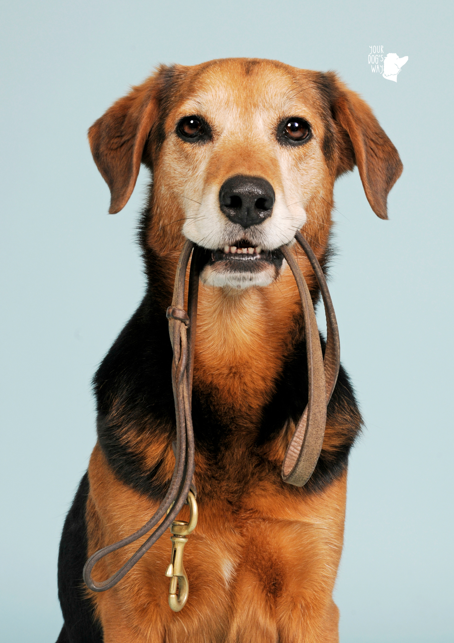 Good Manners Package