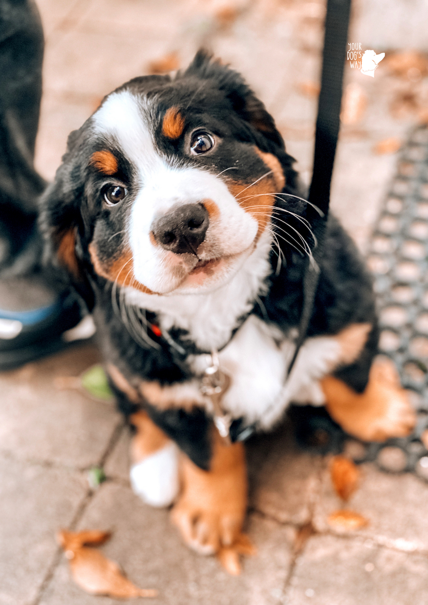 What to Expect When You're Expecting