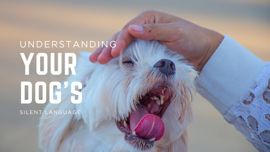 Understanding Your Dog's Silent Language