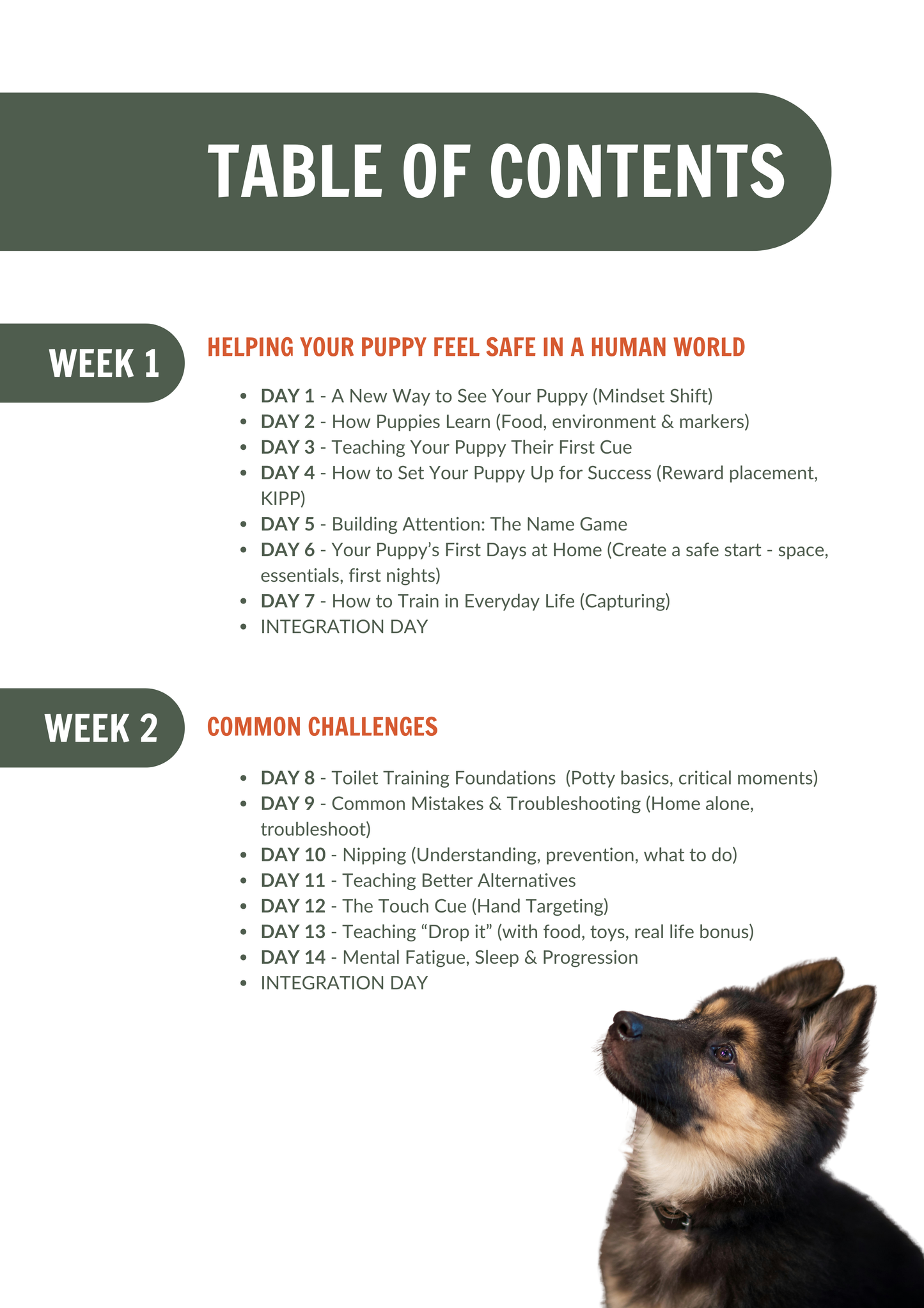 Your Puppy’s Best Start: A 28-Day Plan to Raise a Confident Puppy (Without Feeling Overwhelmed)