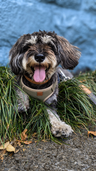 — Johanna
