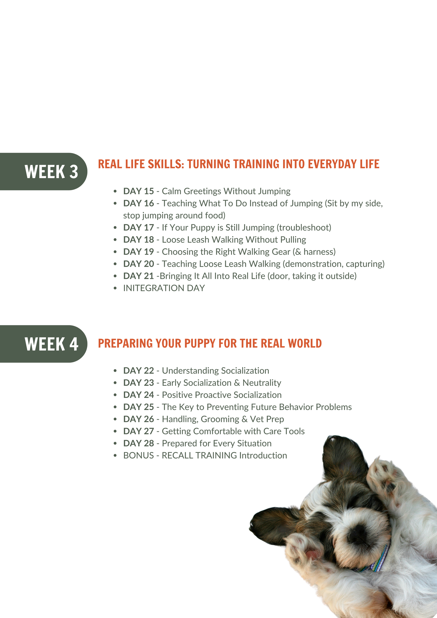 Your Puppy’s Best Start: A 28-Day Plan to Raise a Confident Puppy (Without Feeling Overwhelmed)