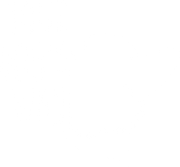 Your Dog's Way